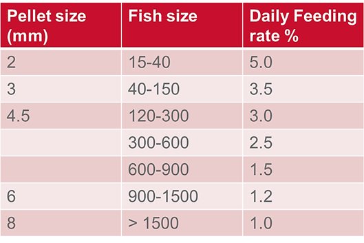 Skretting Feed Chart