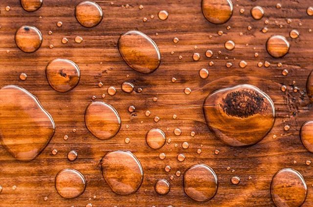 52frames's tweet photo. Patricia Nikolski submitted this simple but yet interesting photo of two out of five elements for last week’s #52frames_thefiveelements challenge. The intense color of the wood combined with the water drops really catches the eye, congrats on the feature… https://t.co/v2n7HeexfE https://t.co/ccC4zEriGn