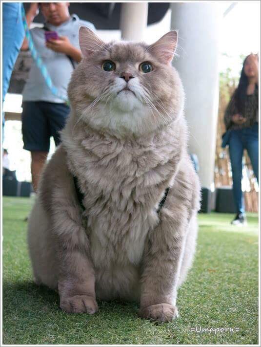 เพิ่งหัดเล่นทวิตเตอร์ฮับ
#เด็กเป้หนาม #พี่โบน