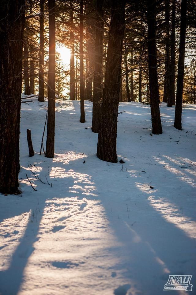 NAU's tweet image. #MyNormalin5Words
Yes, we have four seasons.