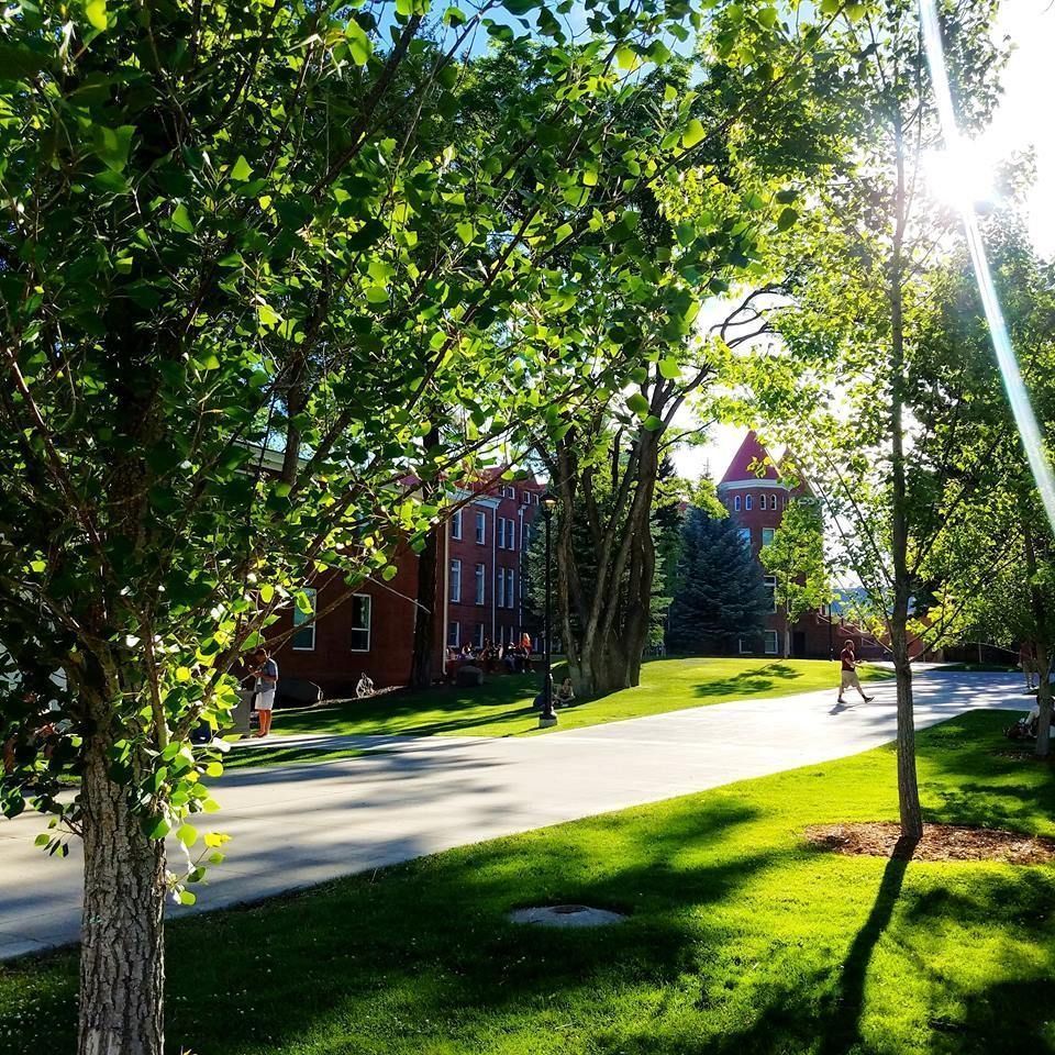 NAU's tweet image. #MyNormalin5Words
Yes, we have four seasons.