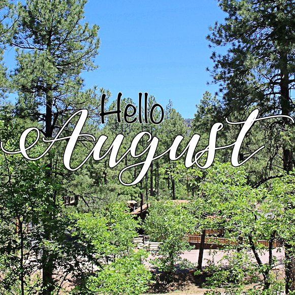 GreyHackleLodge's tweet photo. It's a beautiful day in Christopher Creek! We hope to see you soon! 

#arizonasummer #christophercreek #northernarizona #summergetaway #enjoyarizona #paysonaz #exploreaz #azsummer https://t.co/k7hdNyzhyU