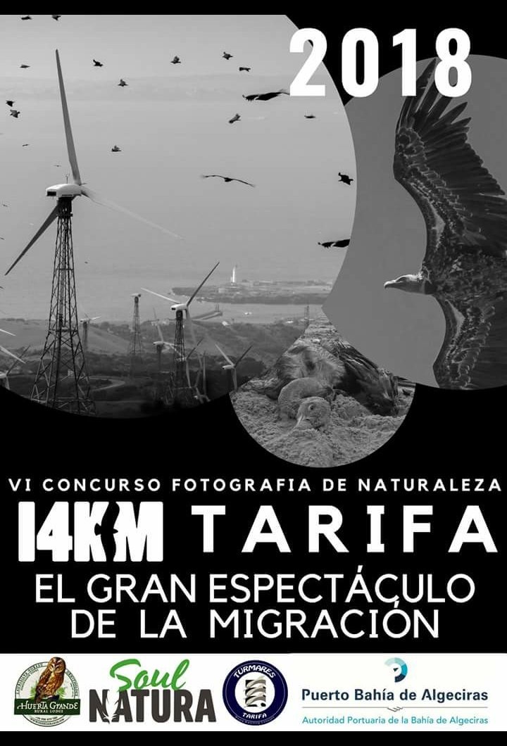 El VI #Concurso de #Fotografía de #Naturaleza de #Tarifa está ya en marcha!
The VI Tarifa #Nature #Photography #Contest is underway!