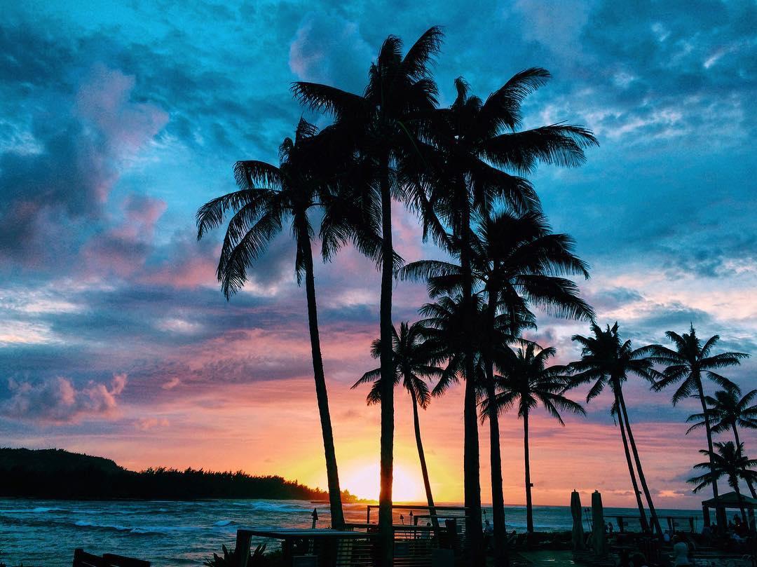 TurtleBayResort's tweet photo. What breathtaking memories will you make on Oahu's North Shore?
📷: @shona.rigg https://t.co/wXkphFx4LH
#Turtlebayresort #Turtlebay #playturtlebay #lethawaiihappen #findyouraloha https://t.co/jOixtkVllZ