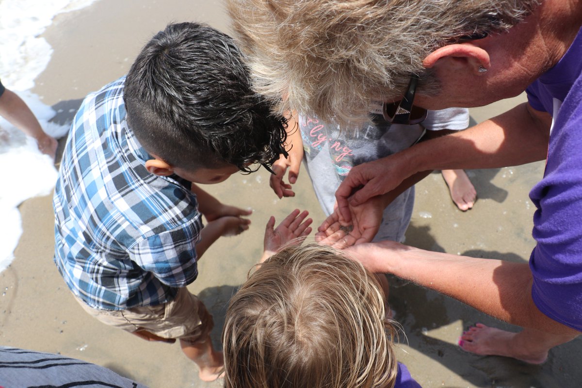 USFWSVentura's tweet photo. Another exciting year at #ScienceCamp with our friends from Big Brothers and Big Sisters of Ventura County @BBSV at McGrath State Beach!  We had so much fun teaching the next generation of scientists about ecological systems and important role each species plays. #CPWN 🐚🦋🐛🐤 https://t.co/aSRuHw5gcJ