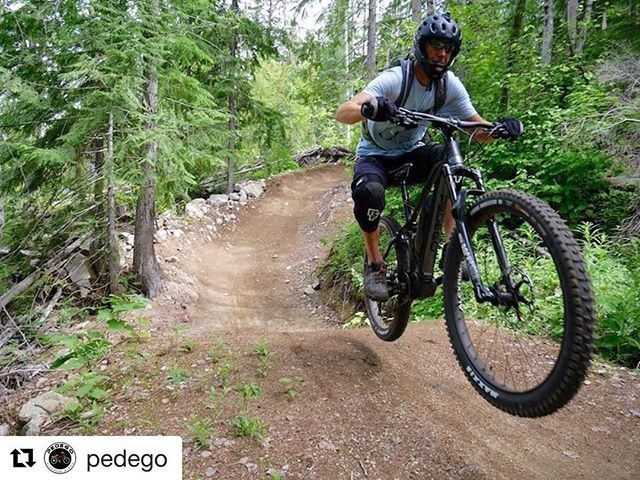 PedegoQB's tweet photo. #Repost @pedego with @get_repost
・・・
How are you taking on the trails? Elevate. 
#pedego #elevate #emtb #mtb #bicycle #trailride #outdoors #mondayfunday #ebike #electricbike #ride #cycle #offroad https://t.co/y3CTuj8Jg7 https://t.co/G42D838zs2