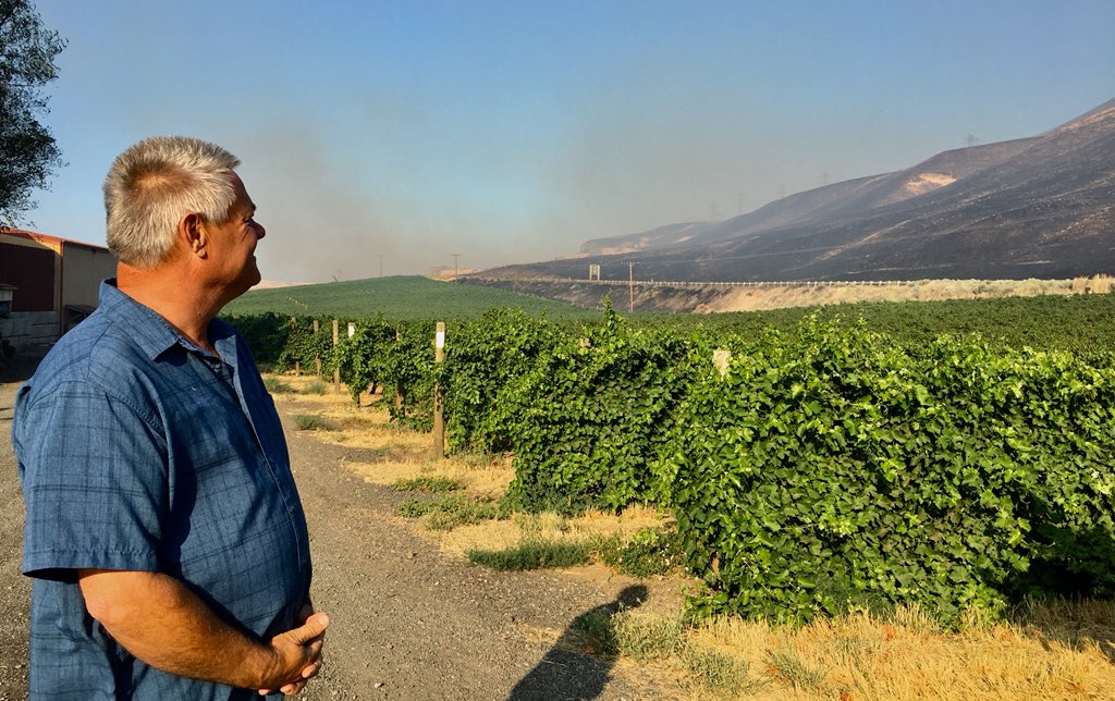 EliseKOIN's tweet photo. We met with Craig Leuthold, the owner of @MaryhillWinery: He watched the #Milepost90Fire burn toward his vineyard overnight. That story is coming up on @KOINNews at noon. https://t.co/Epuz6FpEPH