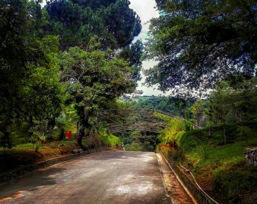 elmachoalfa007's tweet photo. 😍📷🎥 #ExplorandoGuatemala #Guatemala #VideoEngasado https://t.co/PpiNAGVsbO