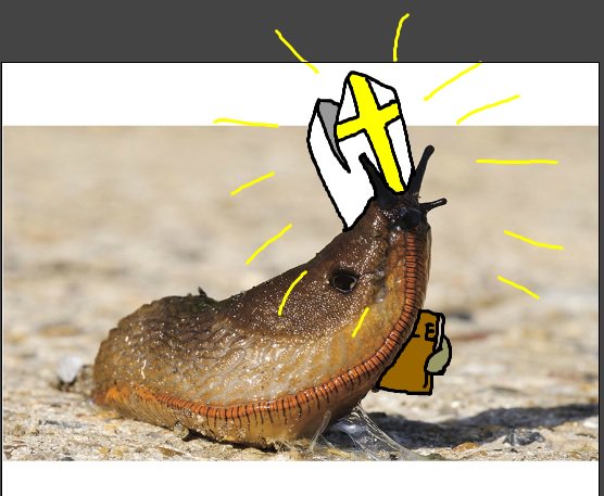 Garuhn's tweet photo. Found out about slug christ today! #slugchrist ...this is more of a slug pope...but it's the first thing that came to mind! https://t.co/4nMBfUzu3K