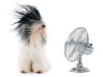 ConfidentAire's tweet photo. Keep Cool with Confidence and Confident Aire - #ConfidentAire #AirConditioning https://t.co/3CQZJ5HPdJ https://t.co/wiXky32K3i