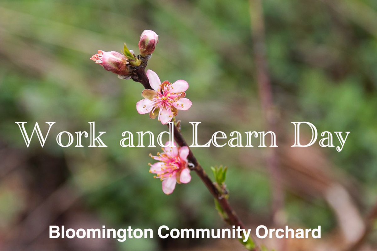 Join us for Work & Learn Day tonight from 5-8pm! #orchardskills #orcharding #communityorchard