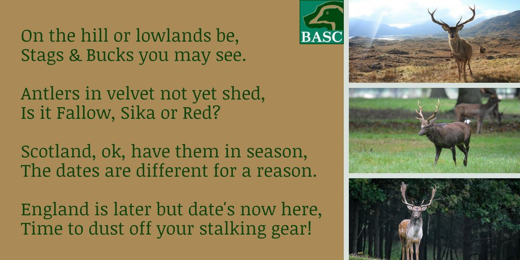 BASC tweet media