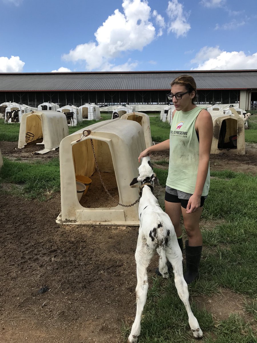 kjmcmichael's tweet photo. The back-to-school prep to-do list was getting a little dry so I opted for an #SAEVisit-filled afternoon! Nothing fires me up more than watching my kiddos get to apply what they learned in class, outside of class, and fall in love with it! #TeachAg https://t.co/9AtBb2Jhz8