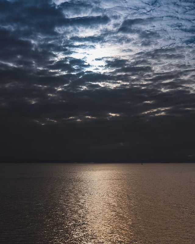 I can’t not post Seattle sunsets.
.
#seattle #washington #pnw #visitseattle #seattlewa #livewashington #pnwonderland #thatpnwlife #pacificnorthwest #seattlephotographer #pugetsound #bainbridgeisland #seattleferry #seattlesunset #blueandorange #fb ift.tt/2MaFZ6O