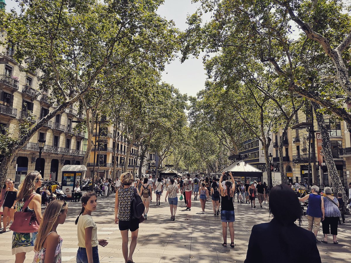 nmacmanard's tweet photo. I wish I was still in Barcelona! https://t.co/jHYG77YGvL