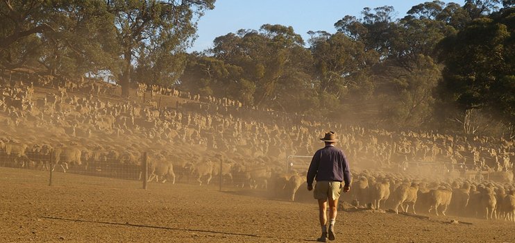 ANZ today announced it would provide $1 million to help farmers struggling with drought conditions across Australia bit.ly/ANZdroughtreli… <a href="/FRRR_Oz/">FRRR</a> <a href="/FCAupdate/">Financial Counselling Australia</a>