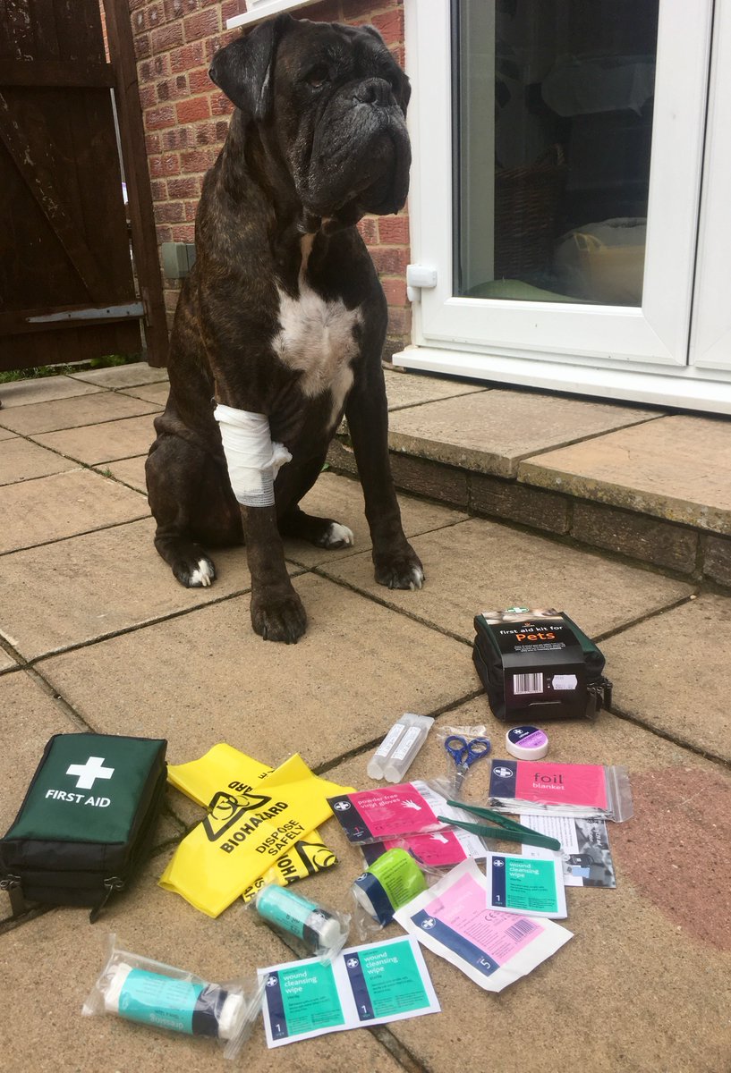 EFA Training Ltd tweet media