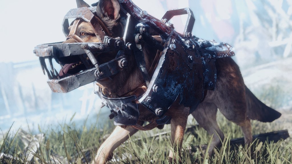 fallout 4 dog armor