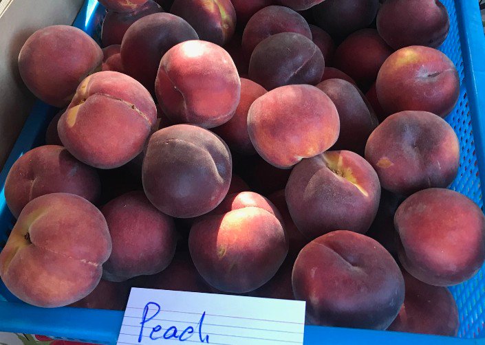 MarketCully's tweet photo. Delicious! Rawdacious Desserts, yum🍰! BBQ, mm! Aloft Kombucha is here! DJ Prayer Hands🙏! Fresh Baked Bread! Farm Fresh Fruits🍑! Thurs. Aug 2, 4-8pm. - https://t.co/aCGR3wEO2I https://t.co/2czf4VBsts