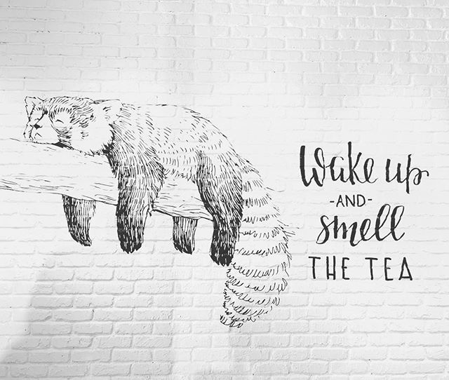 Sleepy red panda at TeaLatte Bar in Carrollton, Texas. Who doesn’t love red pandas? #redpanda #bobatea ift.tt/2n2u1RG