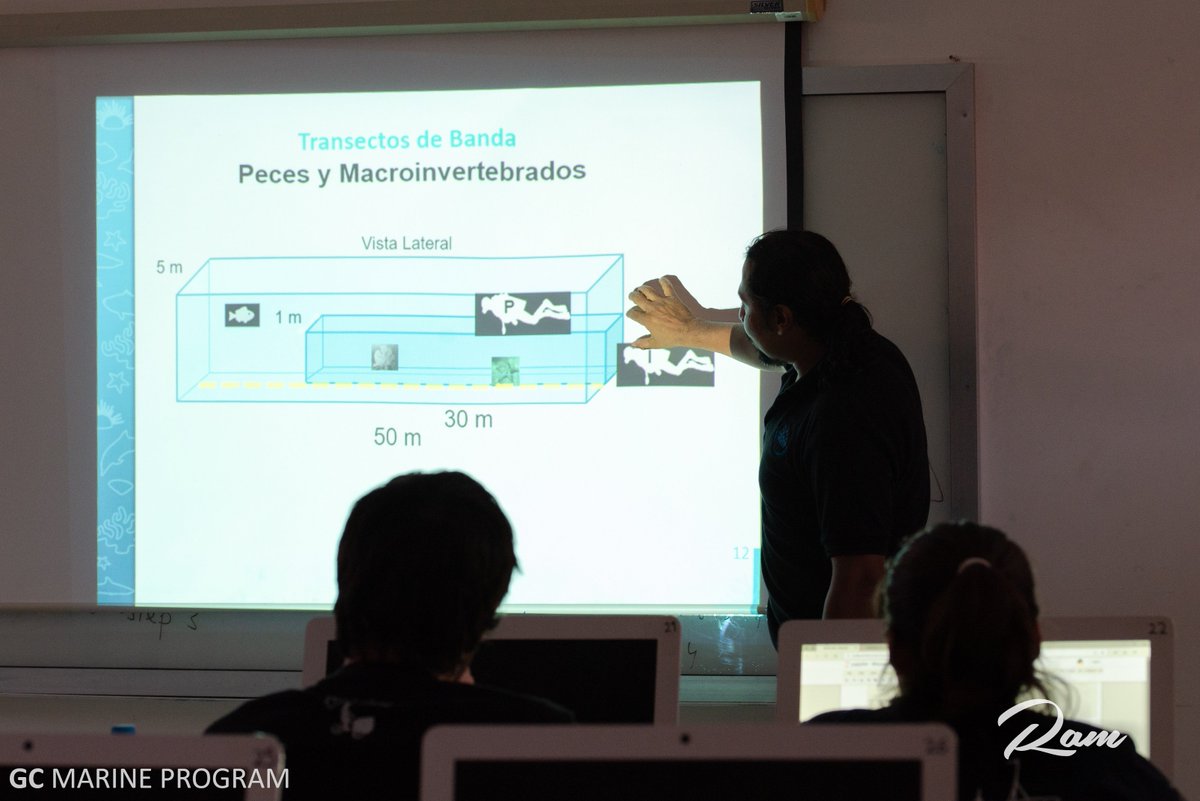 GCMarineProgram's tweet photo. Ayer los estudiantes de #CdCMX aprendieron sobre la importancia de los #SIG en la ciencia, y cómo identificar varias especies marinas! Hoy los estudiantes pondrán estos nuevos conocimientos en práctica en el campo. #CBMC @ClubesCienciaMx @MohitPa43139736 @marjimeneze@IMODRE22 https://t.co/iJyj1ws7Vi