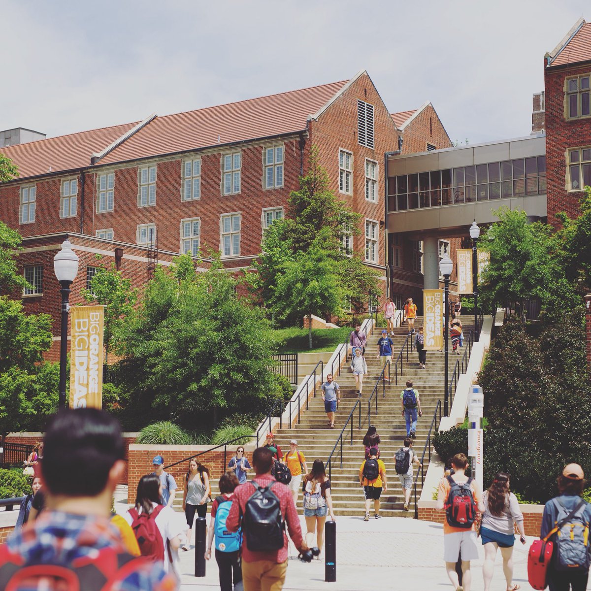 tennalum's tweet photo. Just a few more weeks until our students are back on campus! 🍊 https://t.co/L40UDP657n