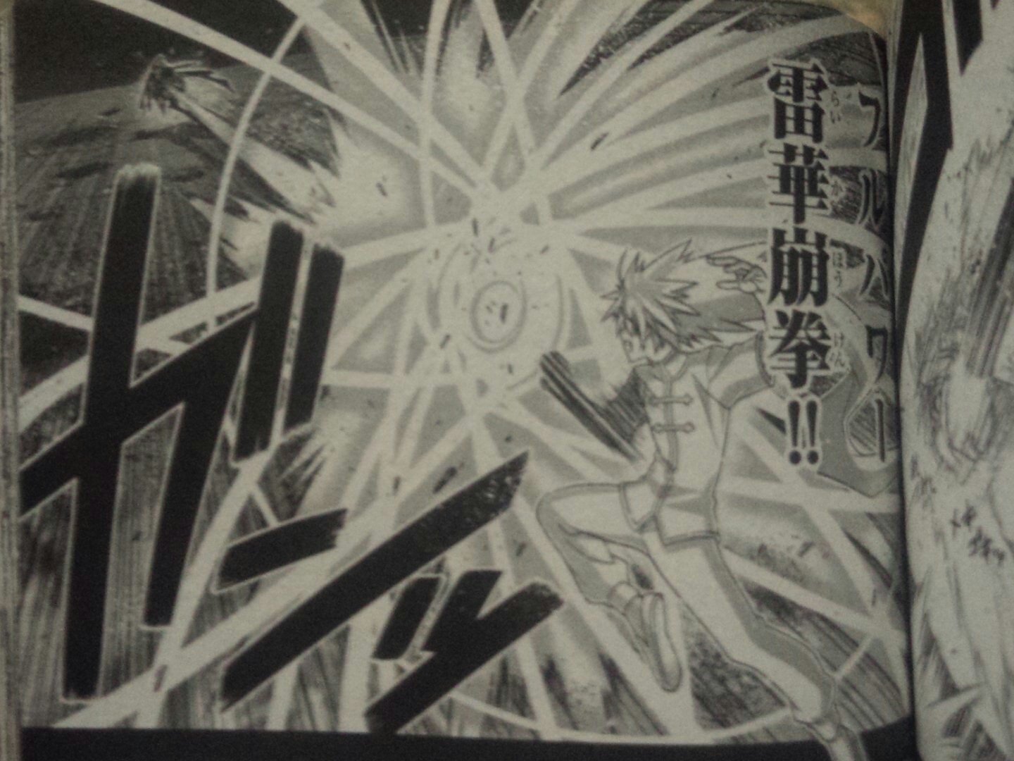 浦島景太郎 なる夫妻 マギステル ヒーローズ ネ なるほど こうですか 父さん フルパワー雷華崩拳