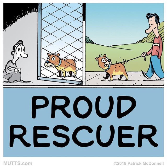 Hi five if your motto is #adoptdontshop ✋🏻 Share if you’re a proud rescuer!
#MUTTS #MUTTScomics #rescuer #rescuedog #rescuedismyfavouritebreed