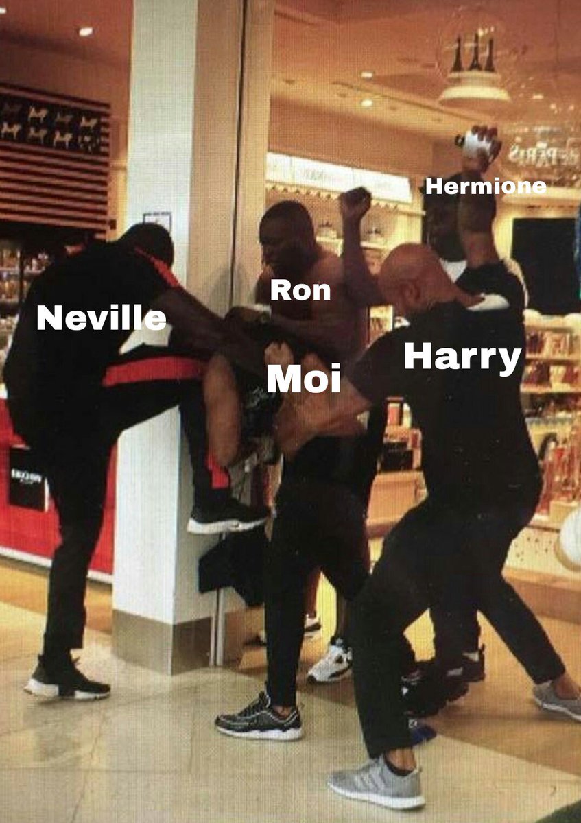 NaginiOff's tweet photo. Quand ils ont su que j'étais le dernier Horcruxe https://t.co/o5gIPrdkeK