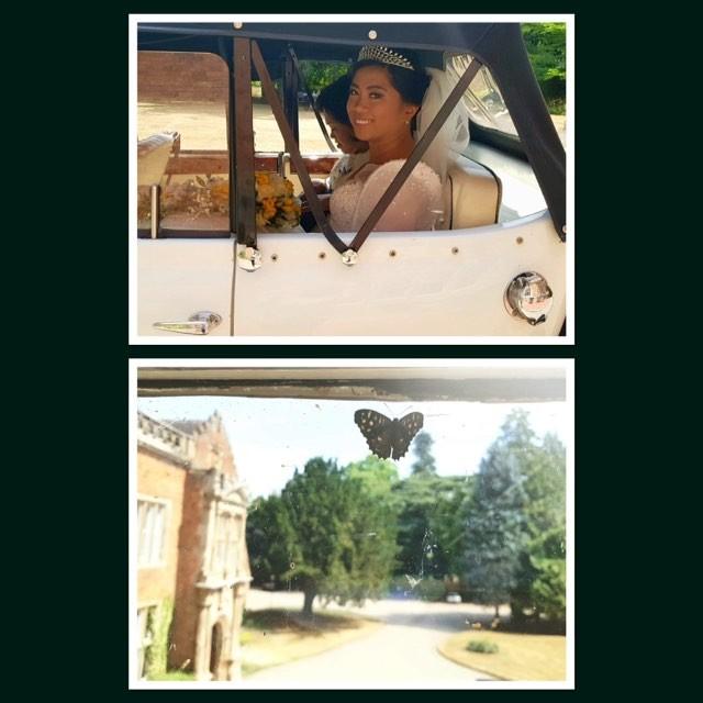 JDressingTable's tweet image. Thinking back to Lst Wk's Wed at gorgeous @grafton_manor The Bride looked truly glorious&amp;amp;you should've seen the stunning sleeves on her dress (inspired by traditional dress of The Philippines.) Cant tell you how much I enjoyed doing her Bridal Makeup! Found a lucky butterfly too.