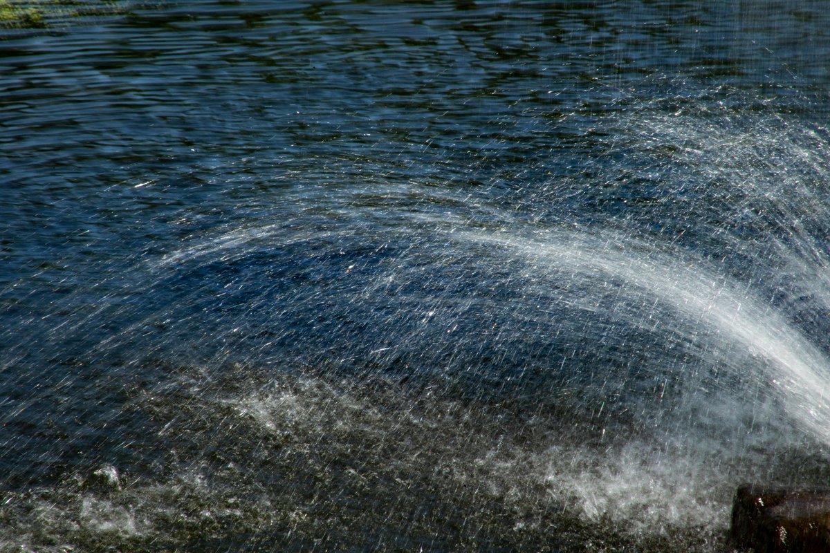 TV_Promo_Dude's tweet image. Fun with Water. #LincolnPark #SpringfieldIllinois #FountainFun #HumpDay