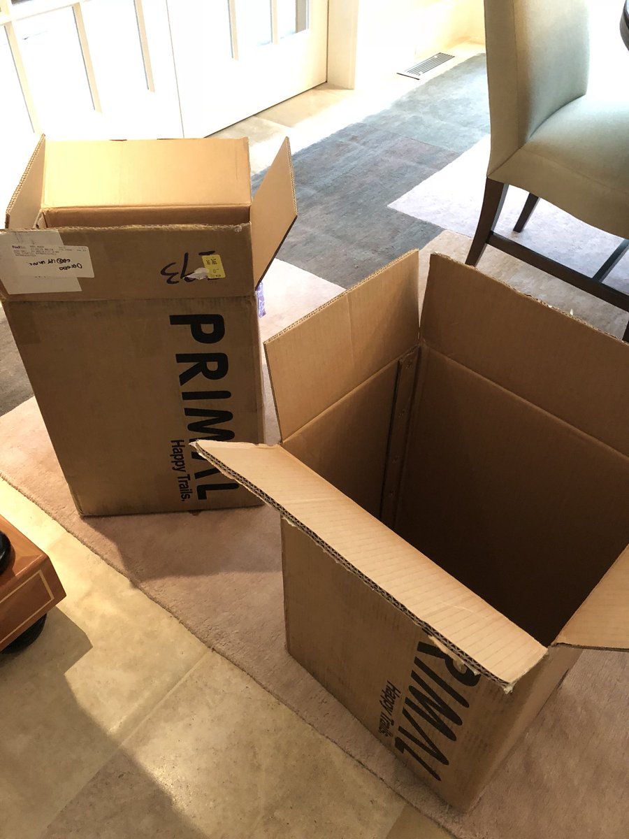 Team Lizard tweet media