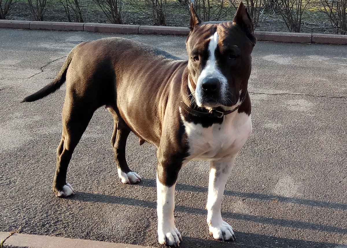 ������ ����� �������, ������� ������� ������ ���������