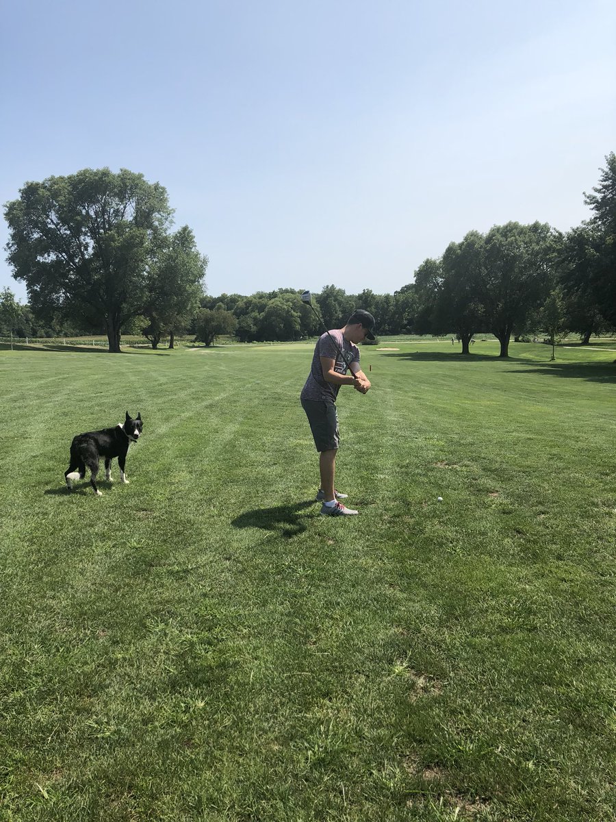 smashwebster's tweet photo. Ike’s first time on the course today. He was a little confused as to why he couldn’t chase the balls. 😂 #fetch #rodeodog https://t.co/c1ExAMbRmb