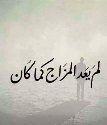 MonaManosh13's tweet photo. @portsaid2018  https://t.co/SraOXJCPHj
