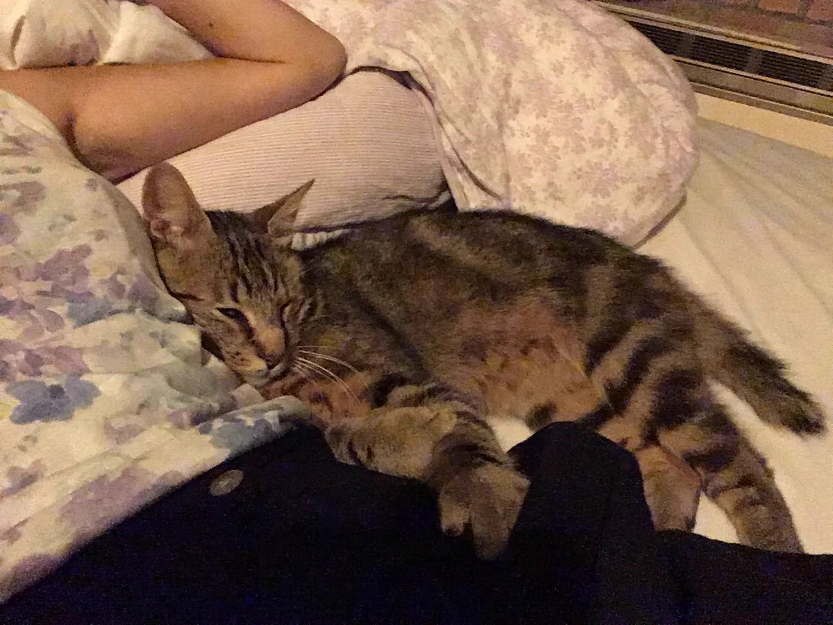 窓開けっぱなしで昼寝して起きたら隣にｗｗｗｗちょ、あなた誰ですかｗｗｗｗｗｗｗｗ