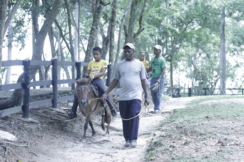 ClubEmpleadosBC's tweet photo. Paseo Divertido Parque Zoológico Nacional CV18 – Video https://t.co/1jYtFH4juO https://t.co/t8jugPsHus