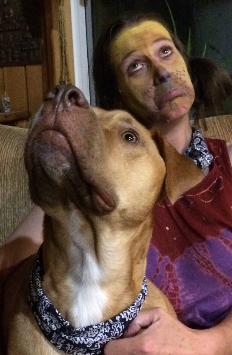 4thmonkeymedia's tweet photo. #GISHPetPals https://t.co/6e2oTciaRC