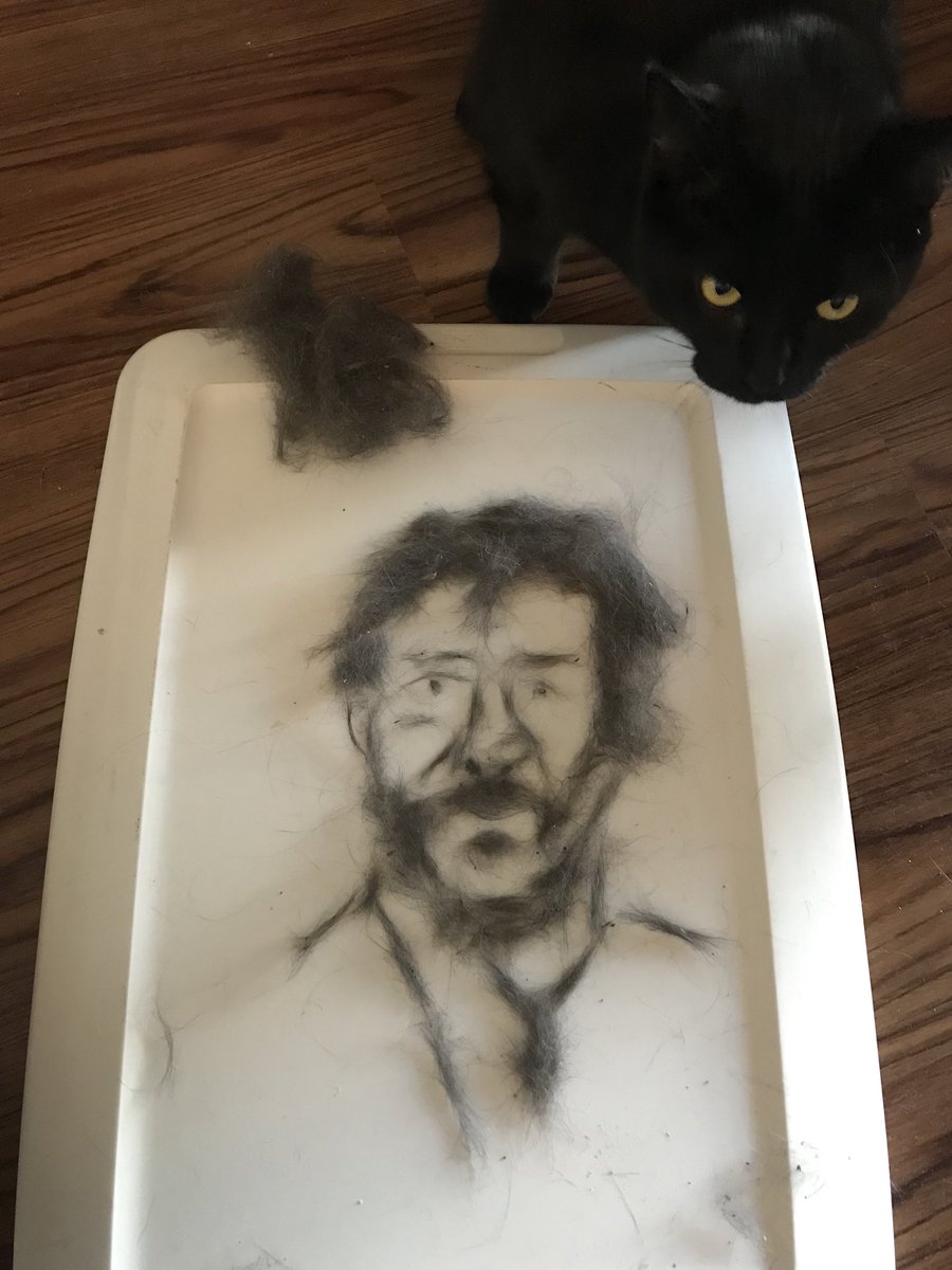 kat_iving's tweet photo. Gotta love cat hair portraits! Feat. Batman the cat. @mrkreeves @LeaSchafer @AusEdmiston #canyouseekeanu #GISH2018 https://t.co/iYNLLOLQ8q