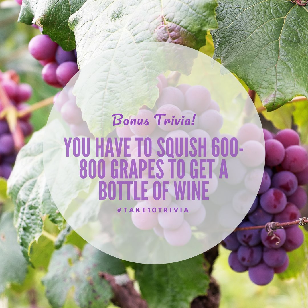 Take10Trivia's tweet image. We'll drink to that! #randomfactoftheday