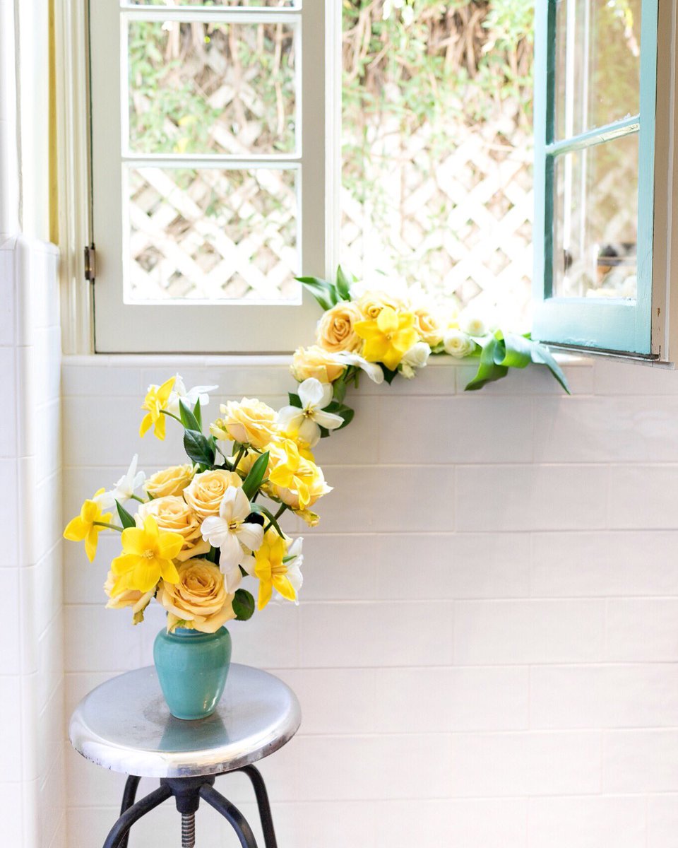 Reach for the sunshine 🌞