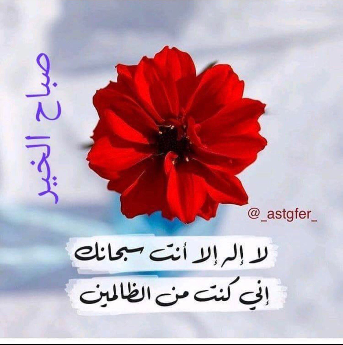حج لطفي (@oad1bsklxmebhkt) on Twitter photo 