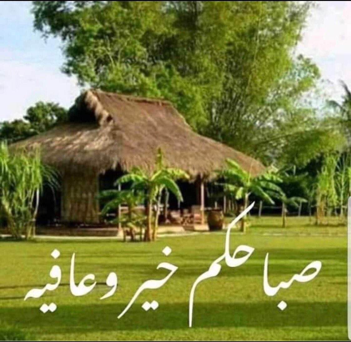 حج لطفي (@oad1bsklxmebhkt) on Twitter photo 