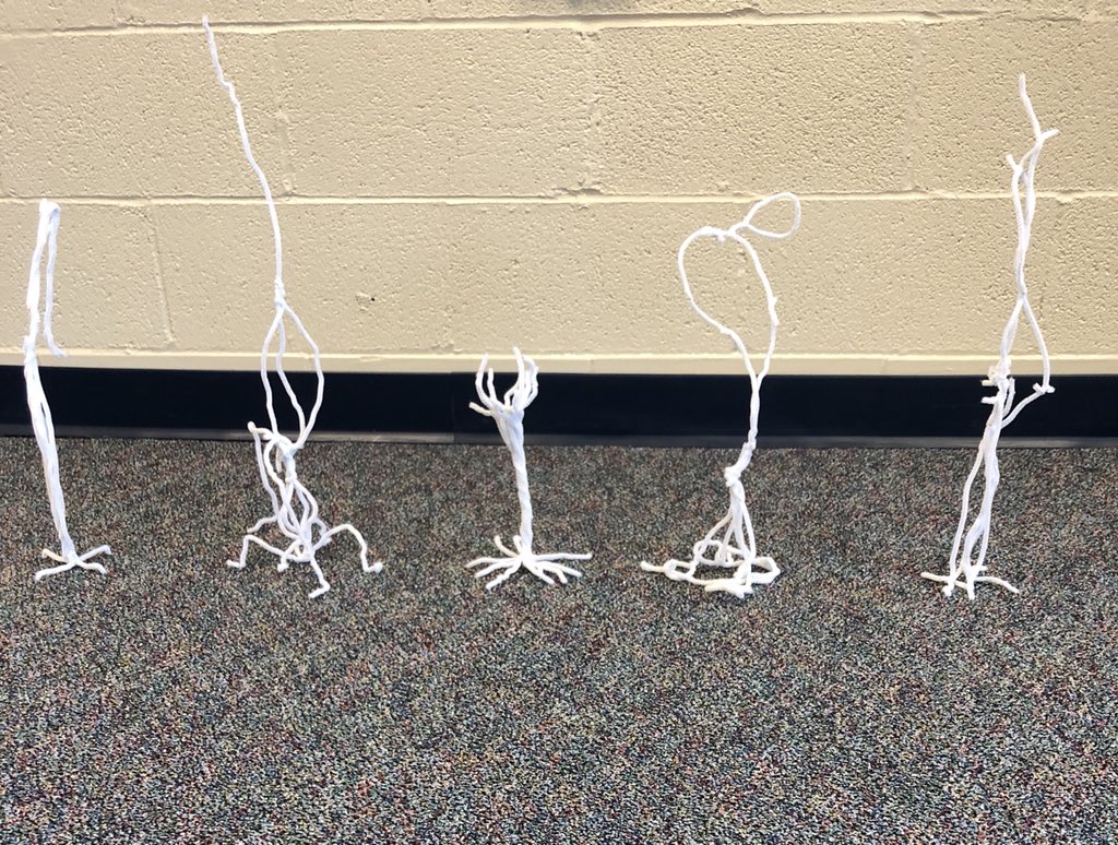 kseymour502's tweet photo. Working with new teachers is always refreshing! #pltwtraining #designprocess #beanstalkchallenge #coding @KSDLearns #ksdpd https://t.co/QcWgd0rYRQ