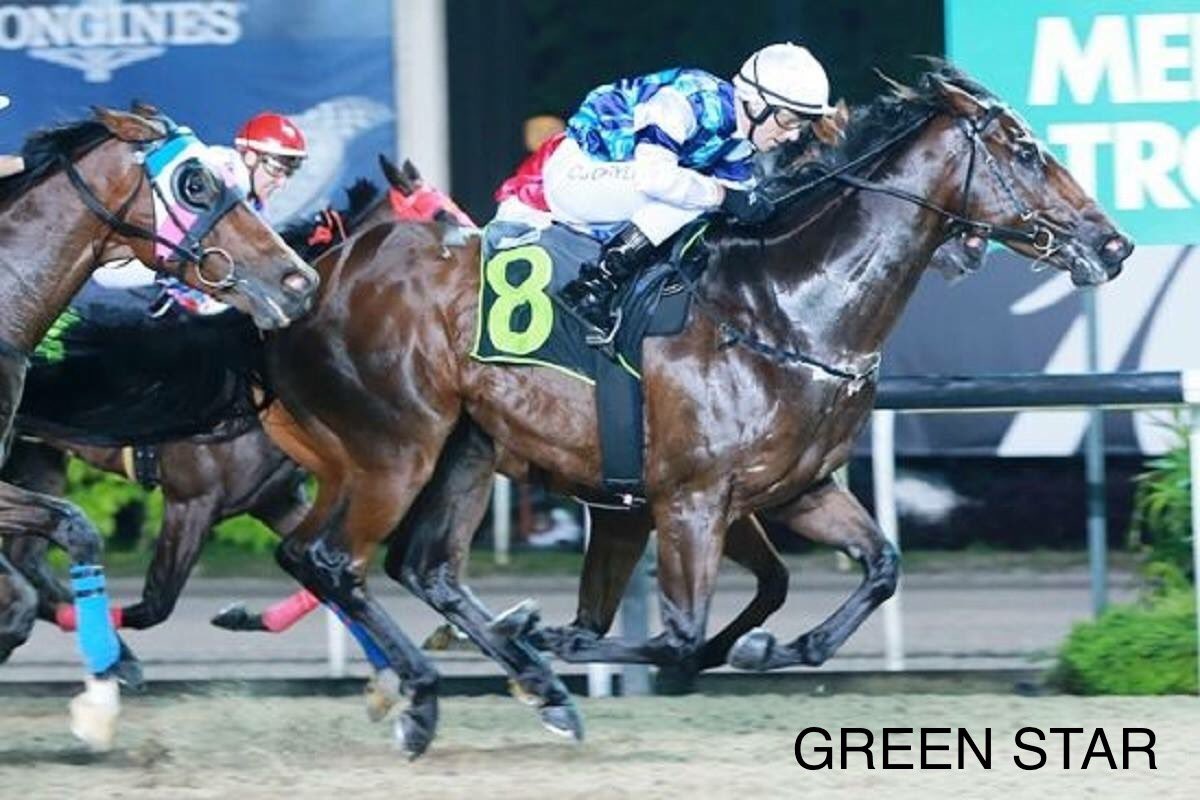 Logan__racing's tweet image. The 2018/19 season ended in New Zealand yesterday, we would like to thank everyone who supported us through a time of huge changes for @Logan__racing 🇸🇬🇳🇿

We have 8 starters this weekend across both venues.

CLICK the link for our exclusive preview: bit.ly/2LLgHjC