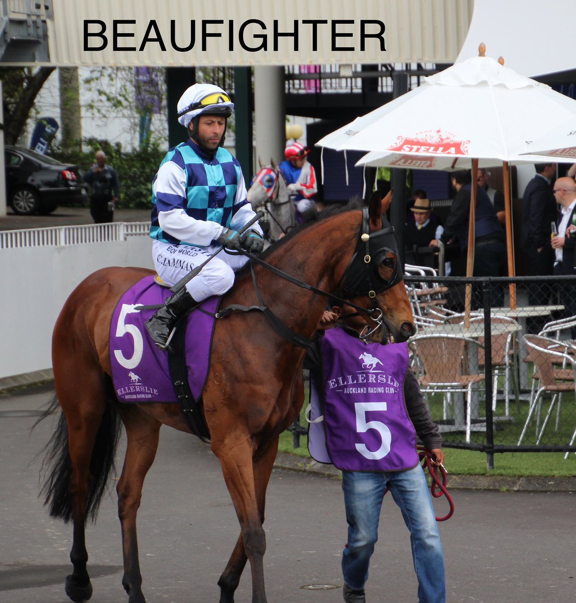 Logan__racing's tweet image. The 2018/19 season ended in New Zealand yesterday, we would like to thank everyone who supported us through a time of huge changes for @Logan__racing 🇸🇬🇳🇿

We have 8 starters this weekend across both venues.

CLICK the link for our exclusive preview: bit.ly/2LLgHjC