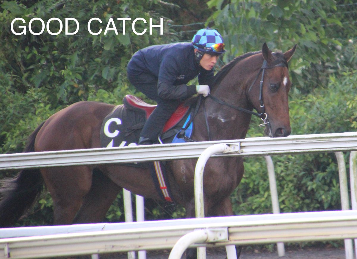 Logan__racing's tweet image. The 2018/19 season ended in New Zealand yesterday, we would like to thank everyone who supported us through a time of huge changes for @Logan__racing 🇸🇬🇳🇿

We have 8 starters this weekend across both venues.

CLICK the link for our exclusive preview: bit.ly/2LLgHjC