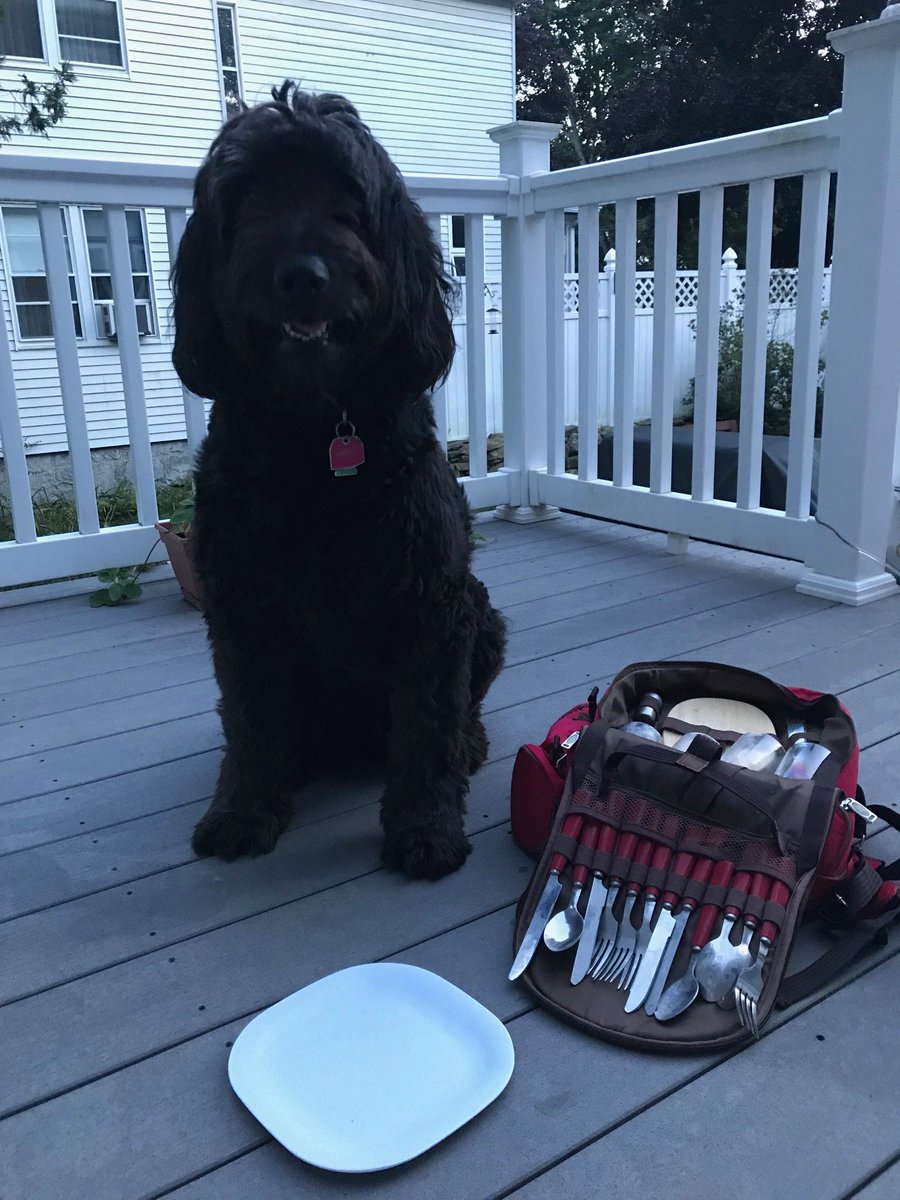 BedfordMOF's tweet photo. Use reusable dishware instead of disposables to #UseLessGreenTheRest for a livable climate. Idea #59: Picnic with reusable dishes instead of disposable paper or plastic, which increases carbon emissions & landfill waste. Say "yes" to reusable dishes! @MothersOutFront https://t.co/jEFBIQ0uTi