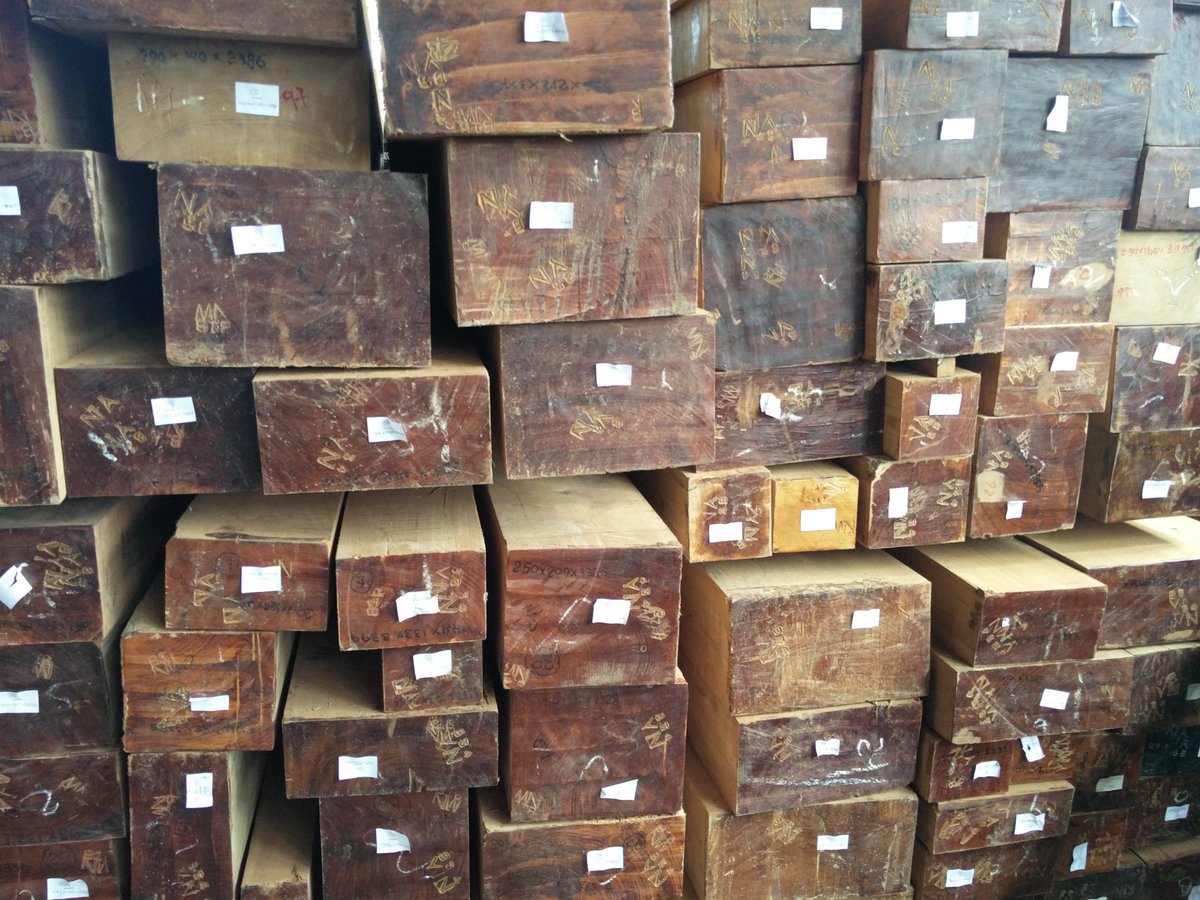 Superdecking's tweet image. Mills closing for lack of logs.The local media has quoted the MTMA, as
saying that about 80% of the wood processing plants in the country have stopped operation. The reason is the drastic reduction in log harvests