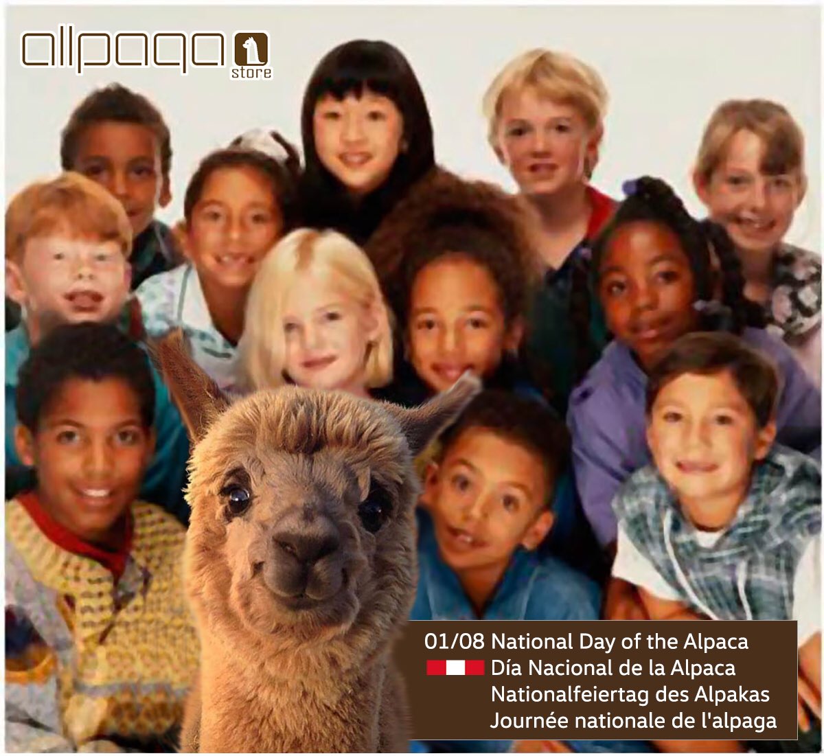 AllpaqaStore's tweet image. This Day we want to embrace with all our friends and friends of the alpacas, regardless of the distances. Allpaqa Store.